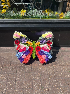 Colourful butterfly