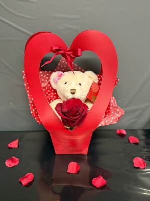 Teddy and single red rose gift