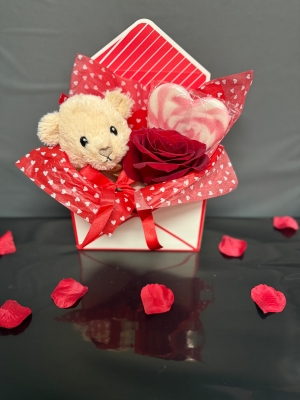 Teddy Lolly and fresh rose love letter